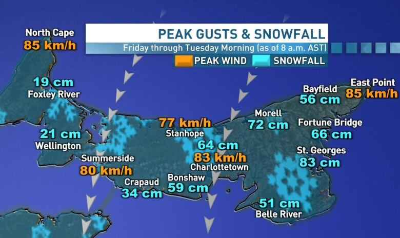 A map showing snowfall amounts and wind gusts for P.E.I.