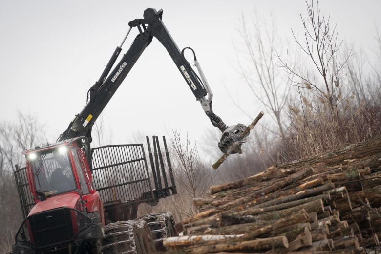 Heavy machinery picks up tree trunks with a claw.