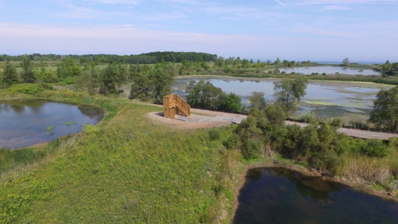 An aerial view of an observation tower in between three wetlands.