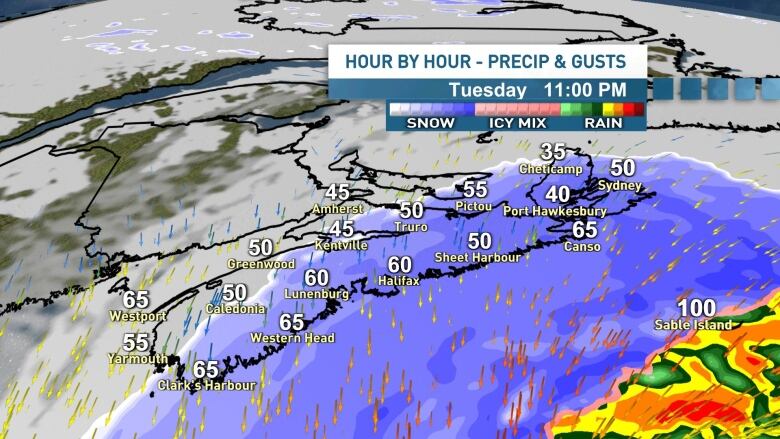 A diagram that shows the estimated precipitation and wind gusts for 11 pm on Feb. 13.