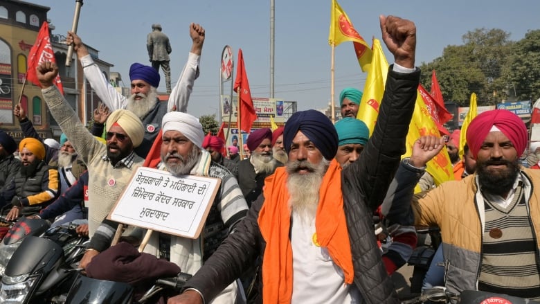 Men, some carrying flags and others raising their fists.