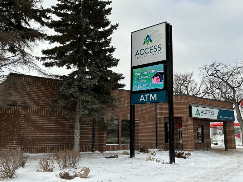 A brick building has two signs with the name Access Credit Union, and an evergreen tree stands right beside the building.