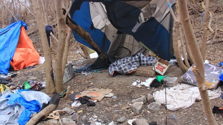 A tent for a homeless person in Windsor, Ont., is shown in the city near the downtown.