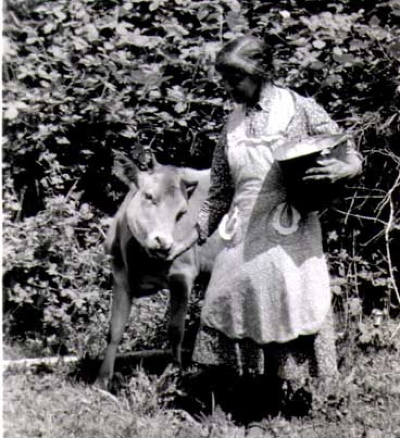 In a black and white photo, a woman is wearing an apron while holding a pot in one arm and petting a calf with the other. 