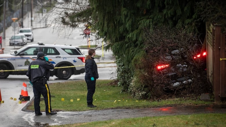 Police officer on street, car in bushes