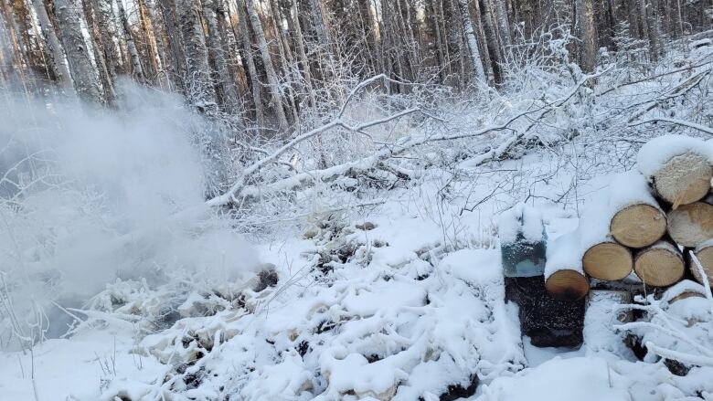 Smoke is seen coming from the snowy ground in the forest, near a pile of cut logs.