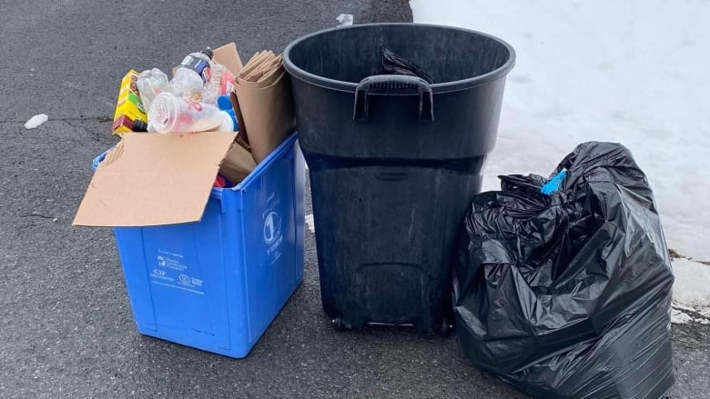 A garbage bin, a garbage bag next to it and a blue bin at a curb on a snowy day.