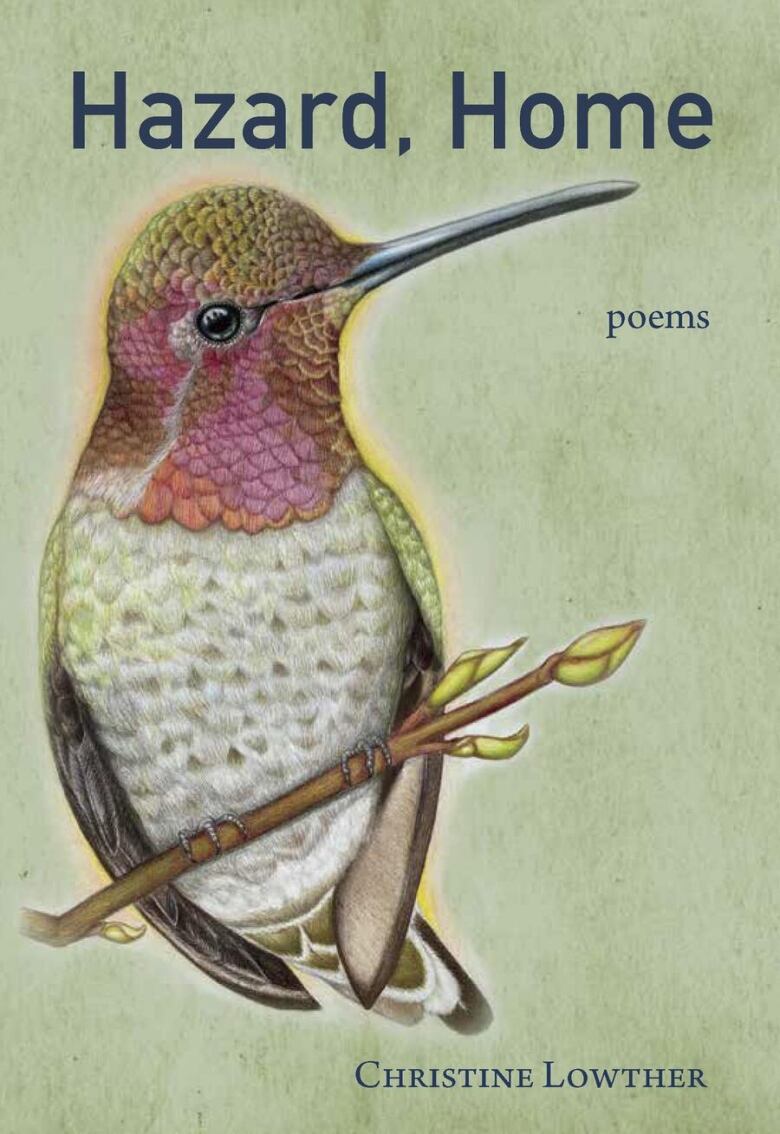 The book cover featuring an illustration of a robin bird.