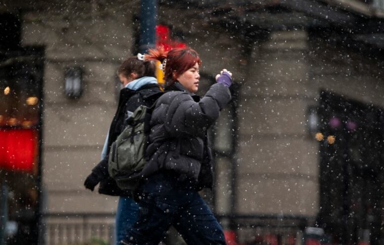 people wallking in light snow