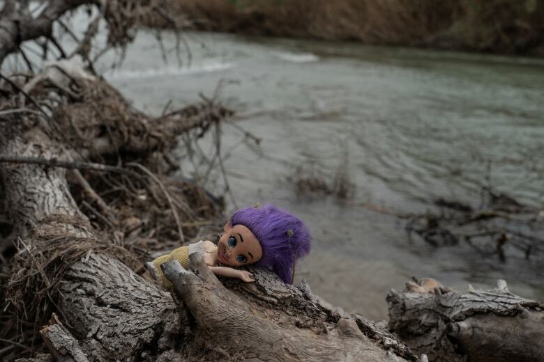 A purple-haired troll doll on the banks of a river