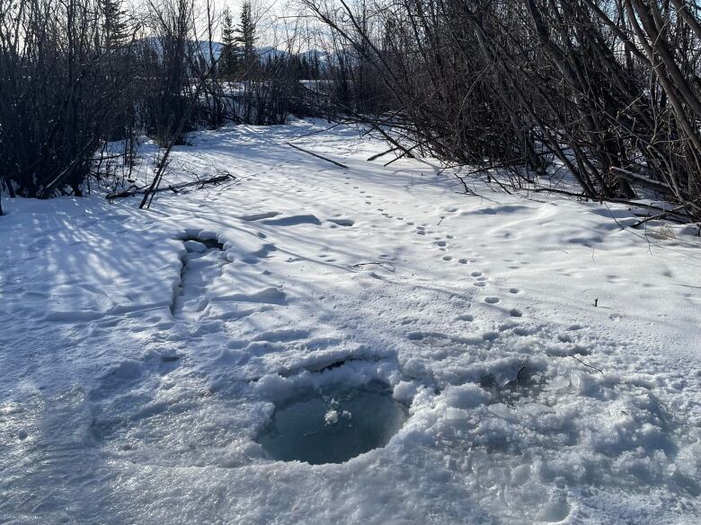 In the foreground is a hole through ice covering Stony Creek, where many Ibex Valley residents draw their drinking water from. In the background, the Kusawa mountains.