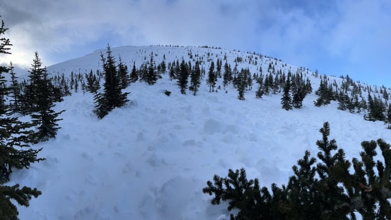 A view of the debris after a fatal avalanche on a mountain known as The Tower in Alberta's Kananaskis Country.