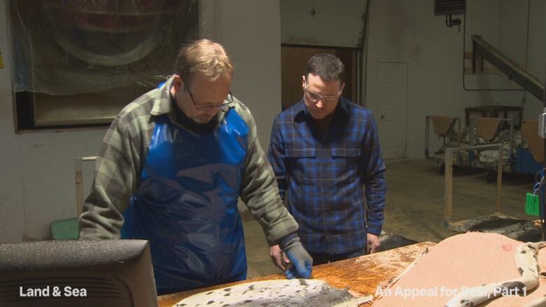 Two men wearing safety glasses examine a seal pelt in a factory. 