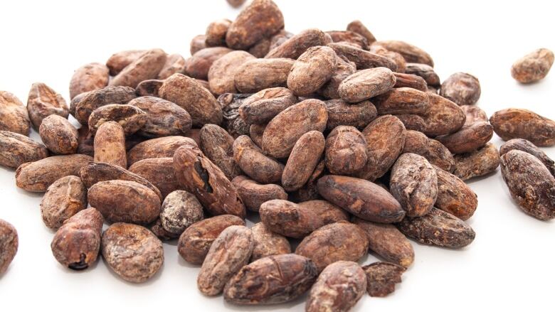 A small pile of cocoa beans against a white background. 