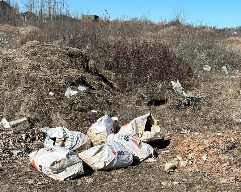 Bags of garbage lying in dirt