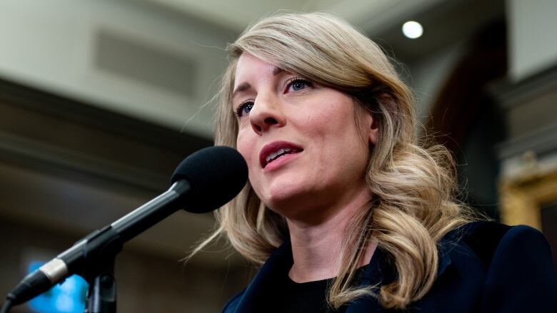 Minister of Foreign Affairs Melanie Joly speaks to reporters in the Foyer of the House of Commons 