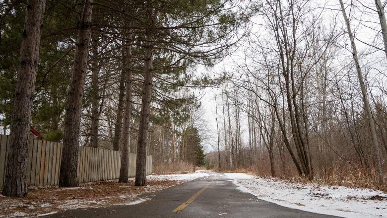 A paved walking trail.