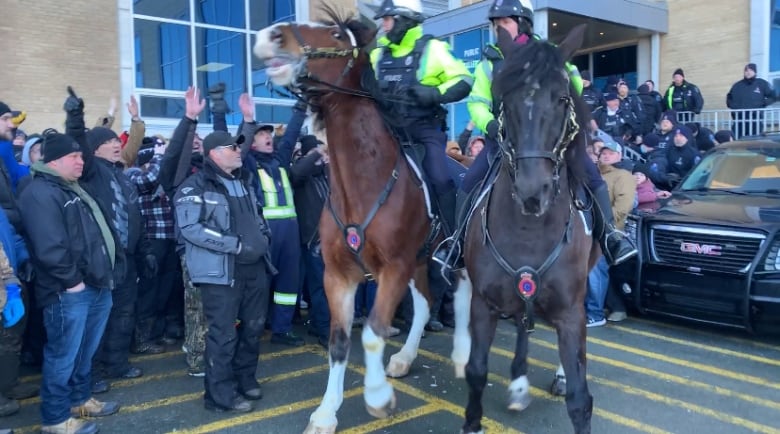 Two horses in the middle of a crowd. 