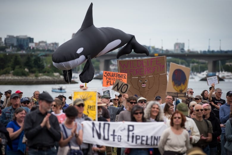 People protest outside, holding signs opposing a pipeline expansion. One protester holds an inflatable of a black and white orca whale. 