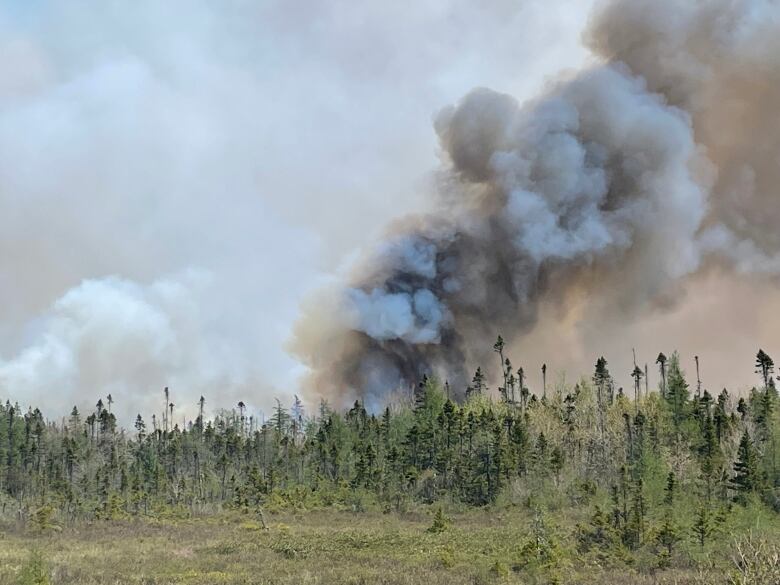 Heavy smoke is shown through the trees in Shelburne County in a picture from May 2023.