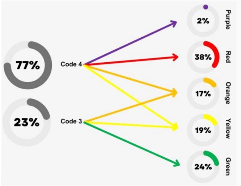 A series of pie charts shows percentages in different colours.