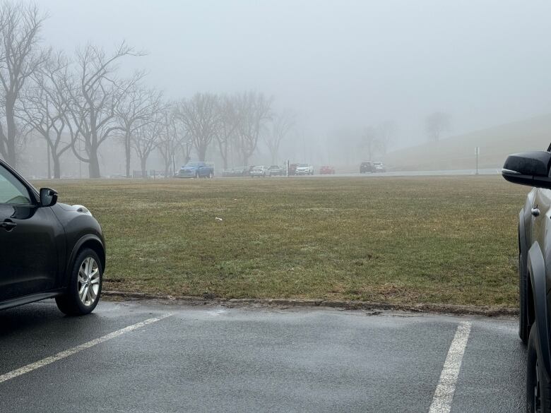 A grassy lawn between two parking lots on a foggy day.