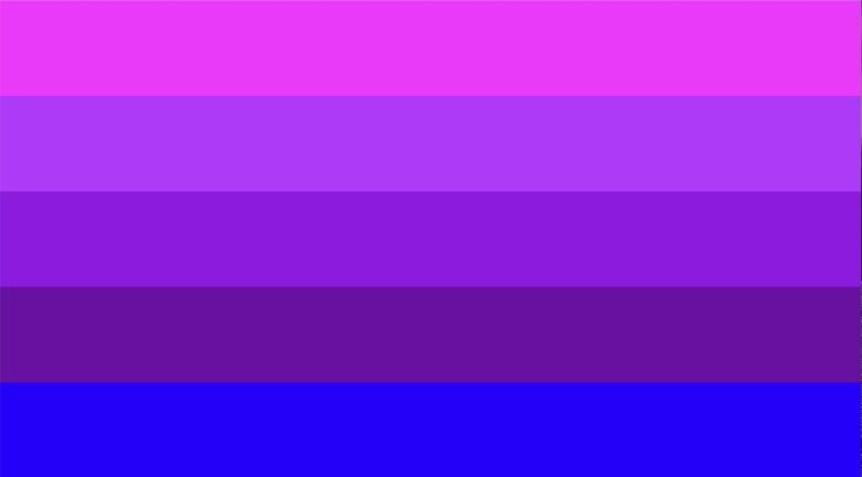 Jennifer Pellinen designed this flag in 2002. She says the pink and the blue represent male and female, and the three purple stripes represent the diversity of the transgender community as well as genders other than male and female.