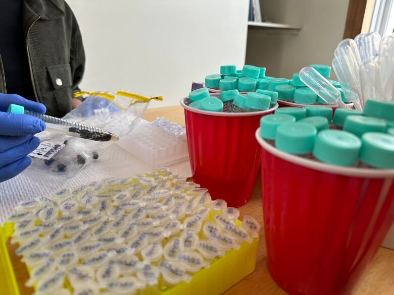 Small vials and bottles are seen on a table, with someone's gloved hand holding a syringe.