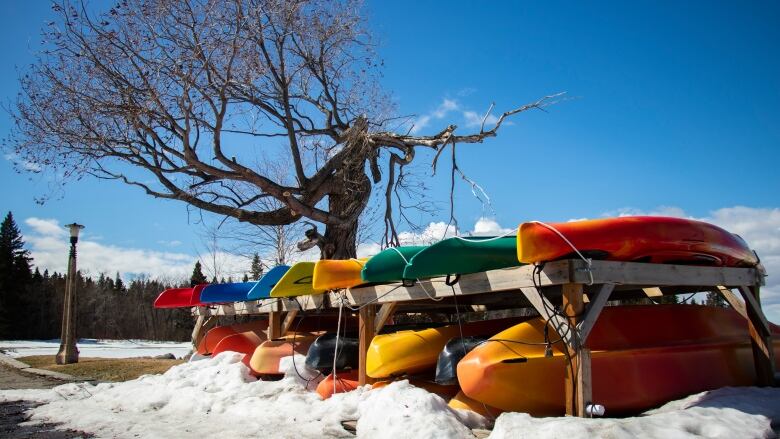 Watercraft sit at the Clear Lake Marina Thursday, April 11, 2024.