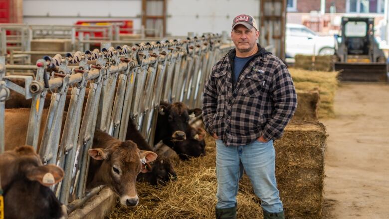 A man in work clothes in a dairy cattle barn.