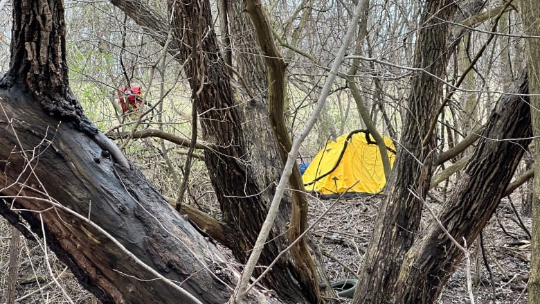 Tent near Taylor Massey Creek in Scarborough