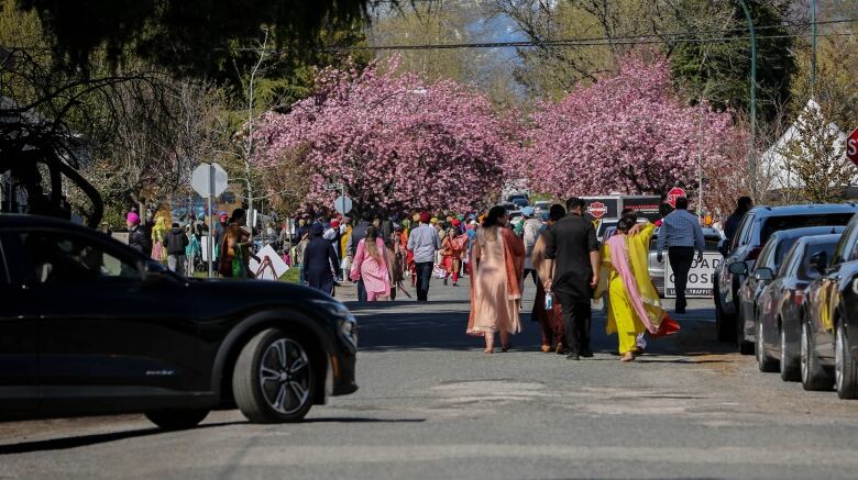 People wearing colourful clothes stride towards cherry blossom trees in full bloom.