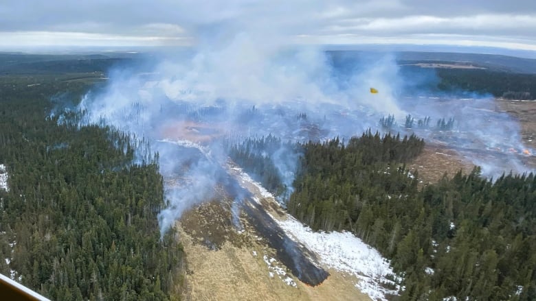 Smoke billows from a forest area. 