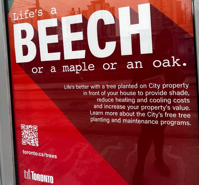 A bus shelter poster encourages homeowners to apply to have the City of Toronto plant and maintain a tree outside their house.