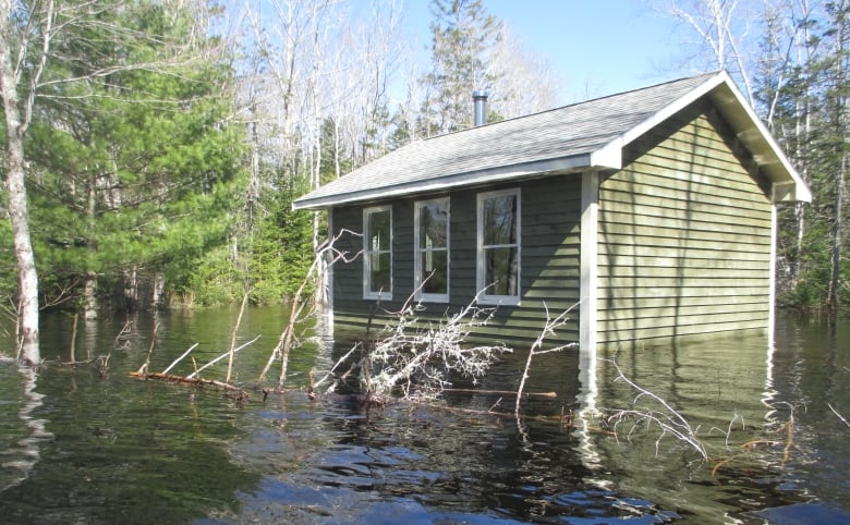 A cottage is surrounded by water.