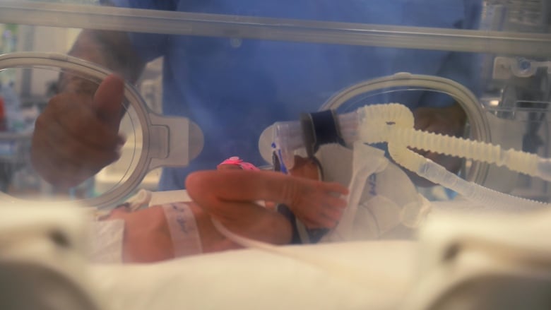 A newborn baby lying inside an incubator is seen connected to a machine to help her breathe.