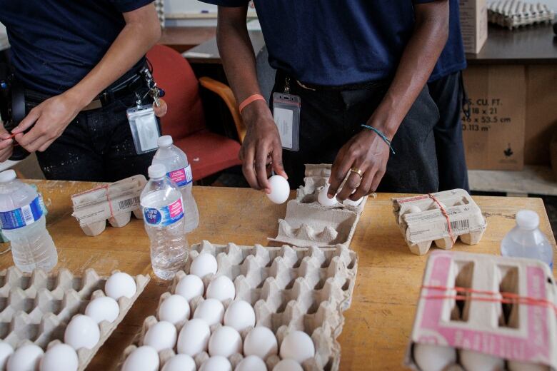 A person transfers eggs from a large carton into smaller cartons.