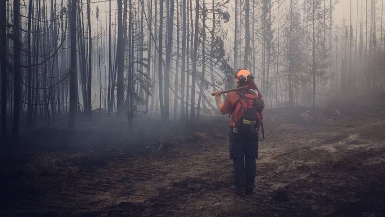 A person holds an axe as they stare at charred trees