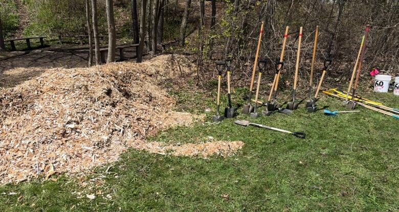 Image of some shovels and mulch. 