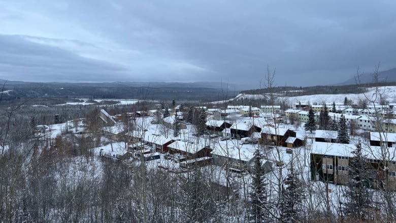 A small town with snow coating the buildings' roofs lies nestled in the midst of a forest of bare trees.