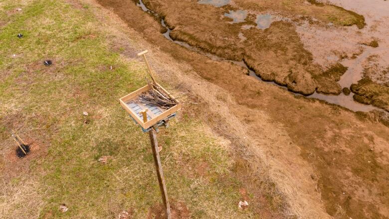 A view overhead of a wooden box with sticks in it high on a pole 