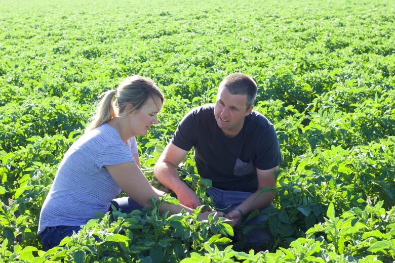 A man and a woman work in a field.