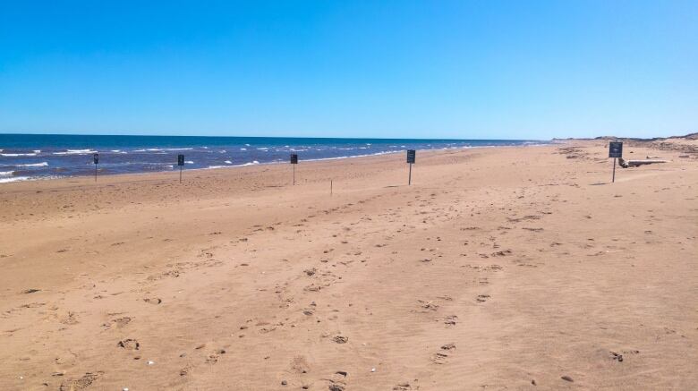 Signs posted across a beach 