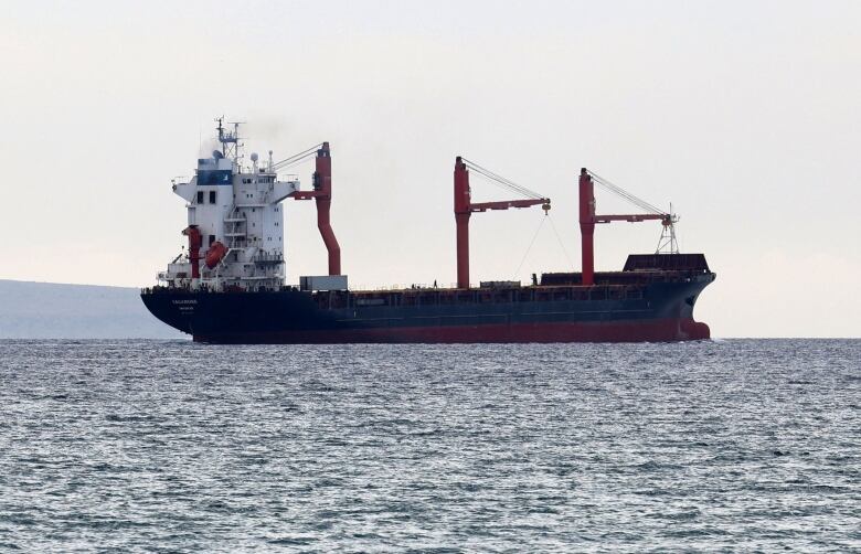 A commercial ship is shown at a distance travelling across a body of water.