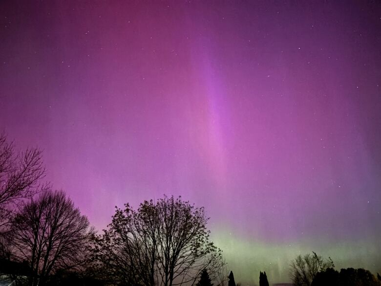 Purple-hued northern lights with trees in the foreground.