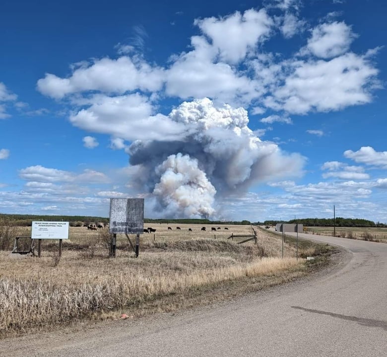 Plumes of smoke rise from a fire.