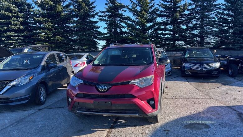 A red Toyota SUV in a parking lot in front of a row of pine trees.