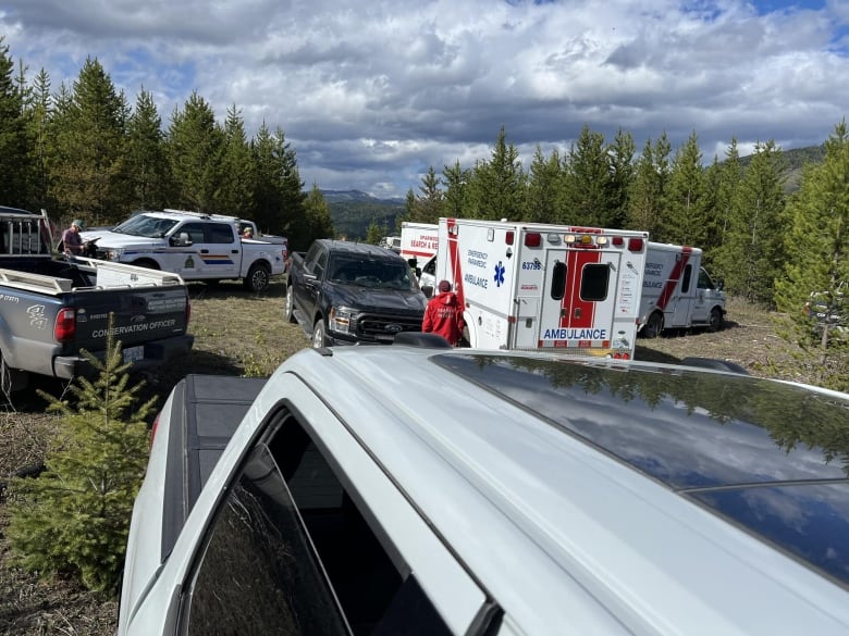 A group of emergency vehicles.