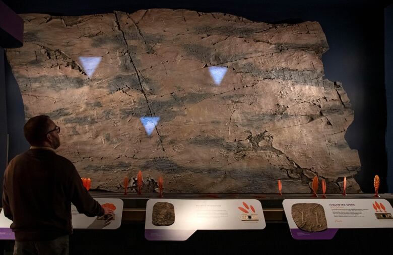 A man interacts with and looks at a slab of rock in a museum setting.