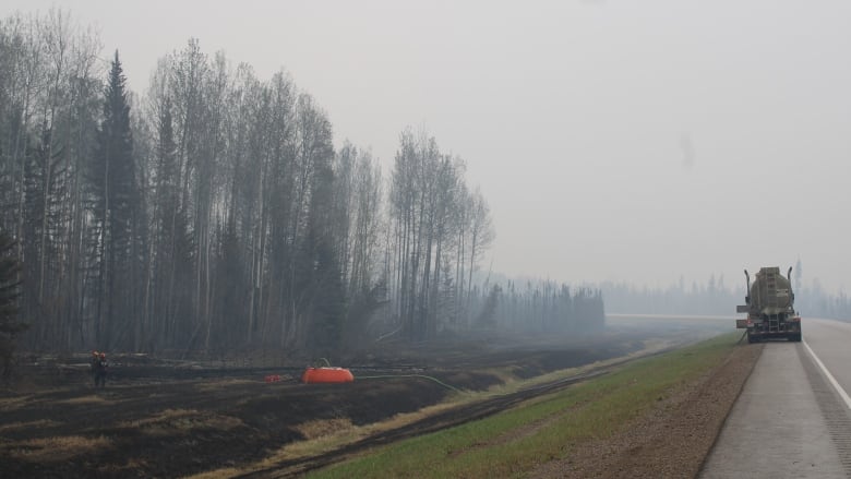 A burned-out forest with a truck and water bladder seen in the distance.